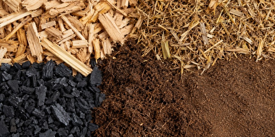 Biomass and Fuels