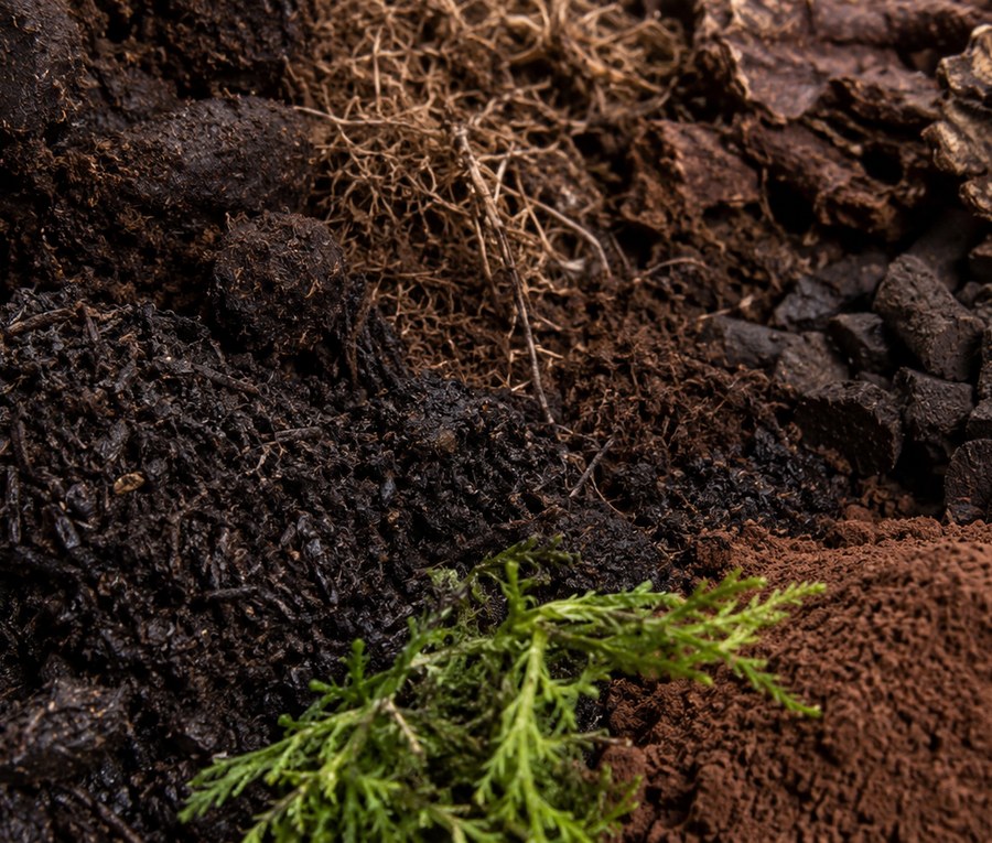 Organics and Natural Materials