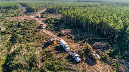 Land clearing operations