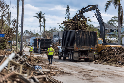 Storm response processing
